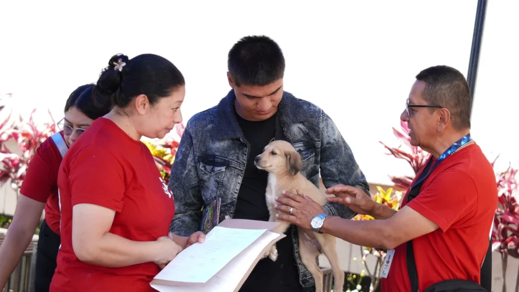 Siete animalitos encontraron una familia