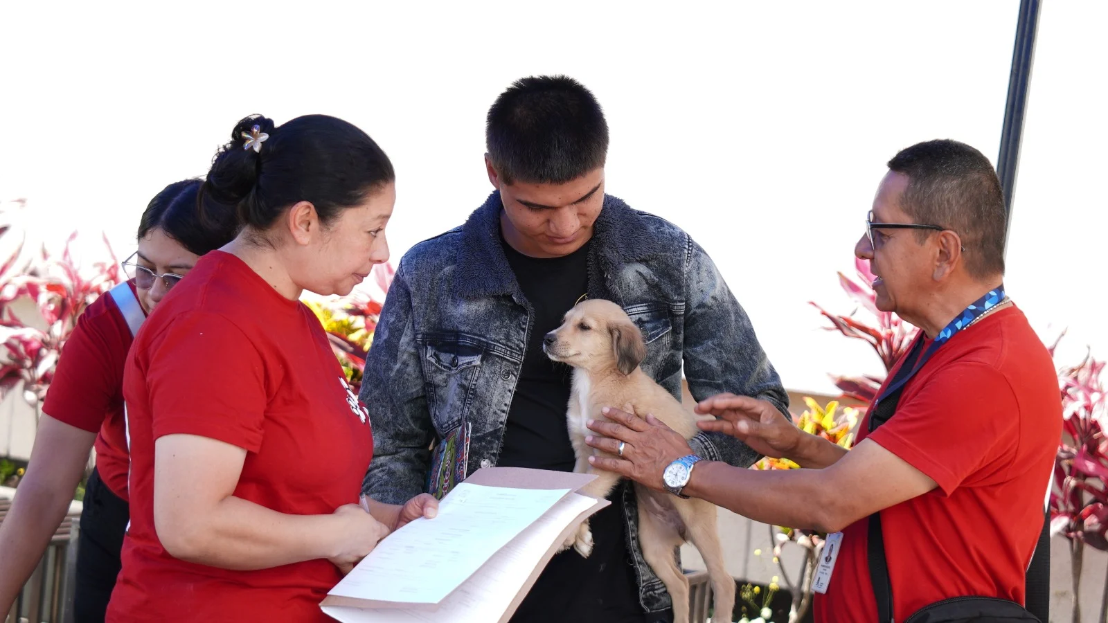 Siete animalitos encontraron una familia
