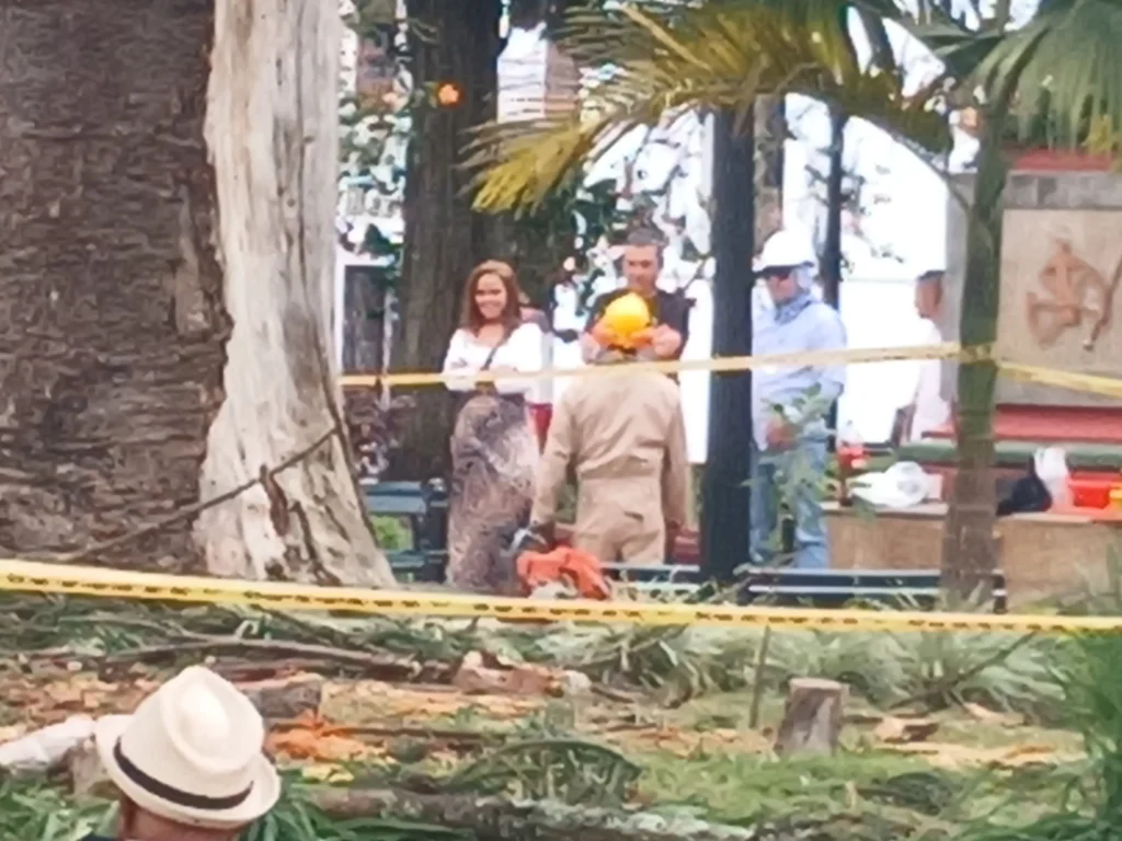 Hasta el momento se desconoce que autoridad, si la Corporación Autónoma Regional del Cauca, o la Secretaría de Desarrollo