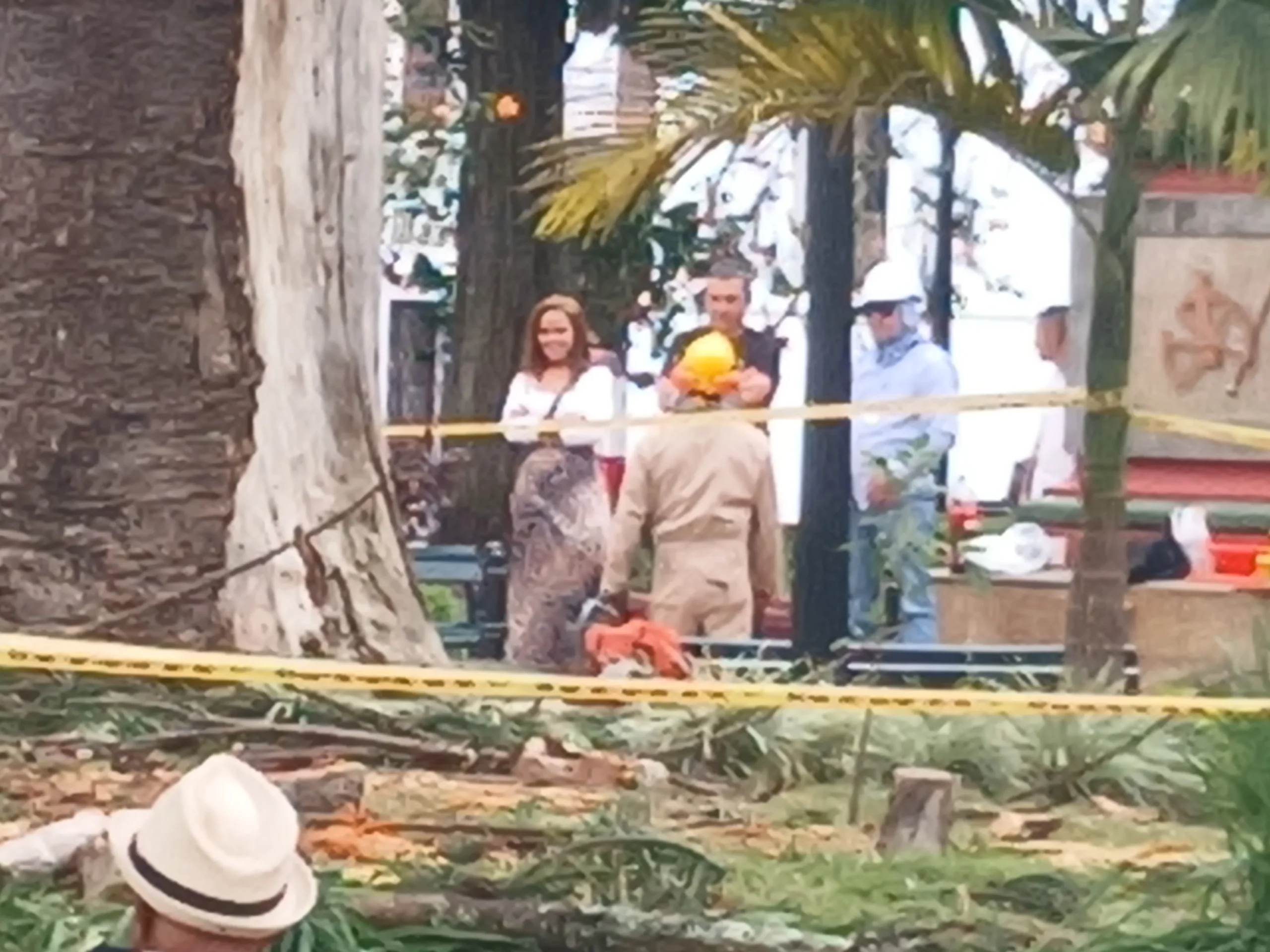 Hasta el momento se desconoce que autoridad, si la Corporación Autónoma Regional del Cauca, o la Secretaría de Desarrollo