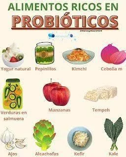 Desde yogur y kéfir hasta kimchi y kombucha, la ciencia respalda el rol de estos productos en la digestión, las defensas y el bienestar mental. Cuáles son y qué beneficios aportan según investigaciones recientes. Una figura humana estilizada con torso transparente contiene formas geométricas de colores brillantes; la rodean íconos de yogur, kéfir, kimchi, kombucha, chucrut y queso.