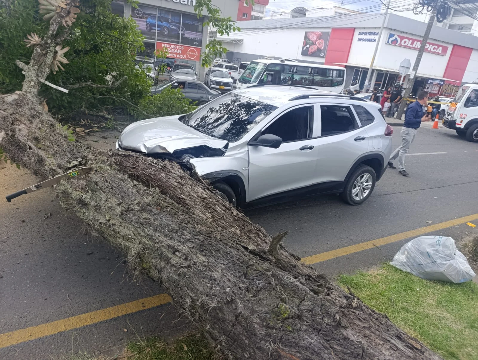 Son varias las experiencias que se han vivido en la ciudad de Popayán de la caída de árboles, en las avenidas y en los parques que se encuentran en varios sectores de la capital caucana.