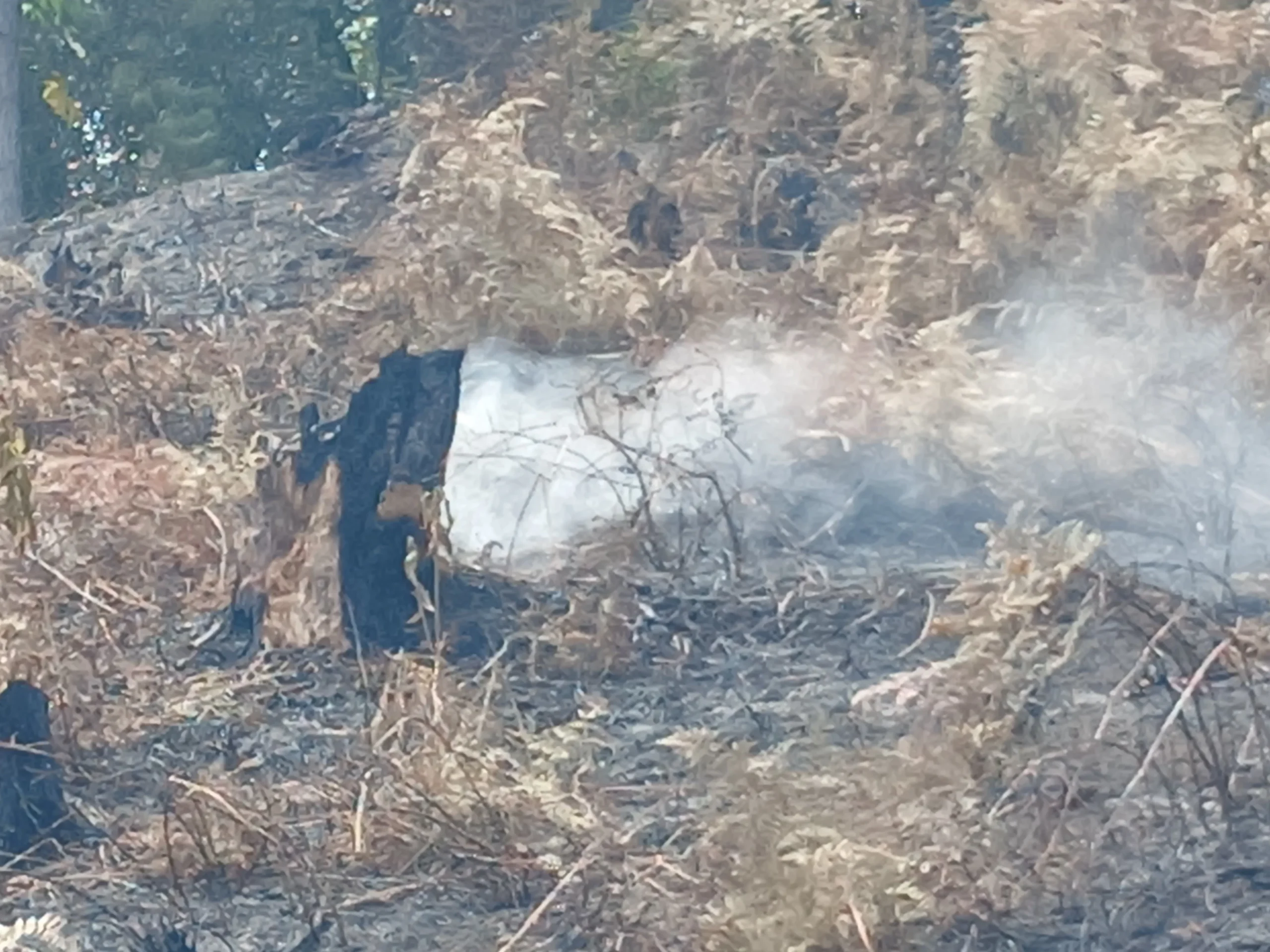 Un incendio en Yambitará y los cerros del nororiente de Popayán atiende el Cuerpo de Bomberos de la ciudad. La emergencia se atiende desde las 2:00 de la tarde, del martes 22 de septiembre de 2026, por parte de los organismos de socorro con más de 40 miembros de bomberos y 10 voluntarios más de la institución de la Defensa Civil.