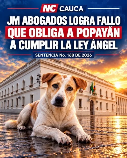 JM Abogados & Asesores S.A.S. logró que el Juzgado Quinto Administrativo del Circuito de Popayán ordenara al alcalde presentar ante el Concejo Municipal el proyecto para crear el Fondo Municipal para la Protección y Bienestar Animal.