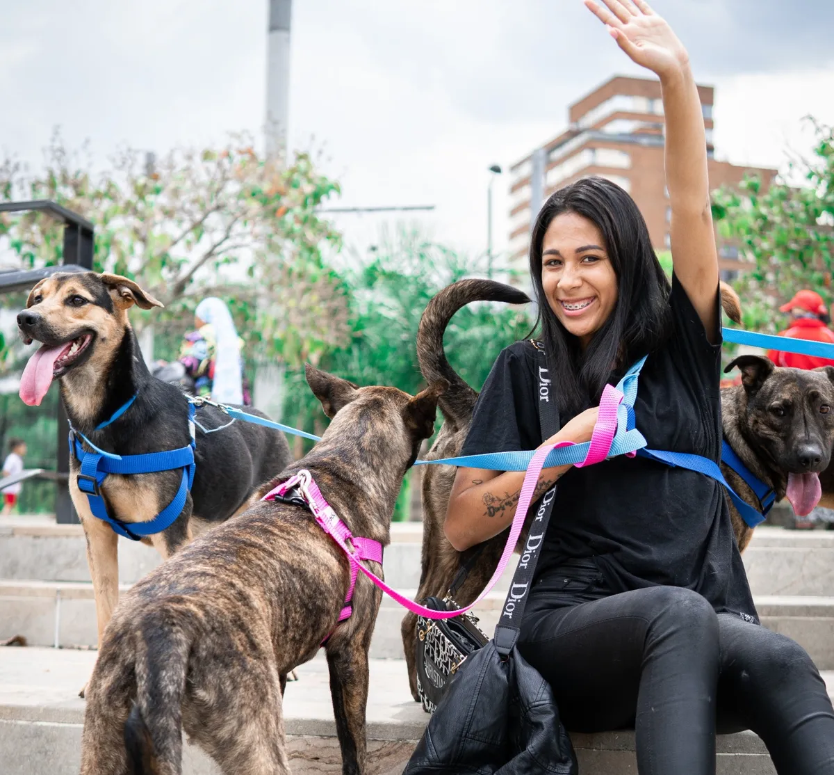 El Bulevar del Río será escenario el próximo 11 de octubre de una jornada dedicada a los animales de compañía, con un recorrido de un kilómetro y actividades de bienestar. La programación contempla hidratación, espacios para fotografías y una premiación en ocho categorías para las mascotas participantes.